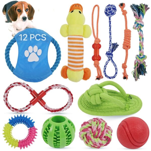 Accesorios mascotas